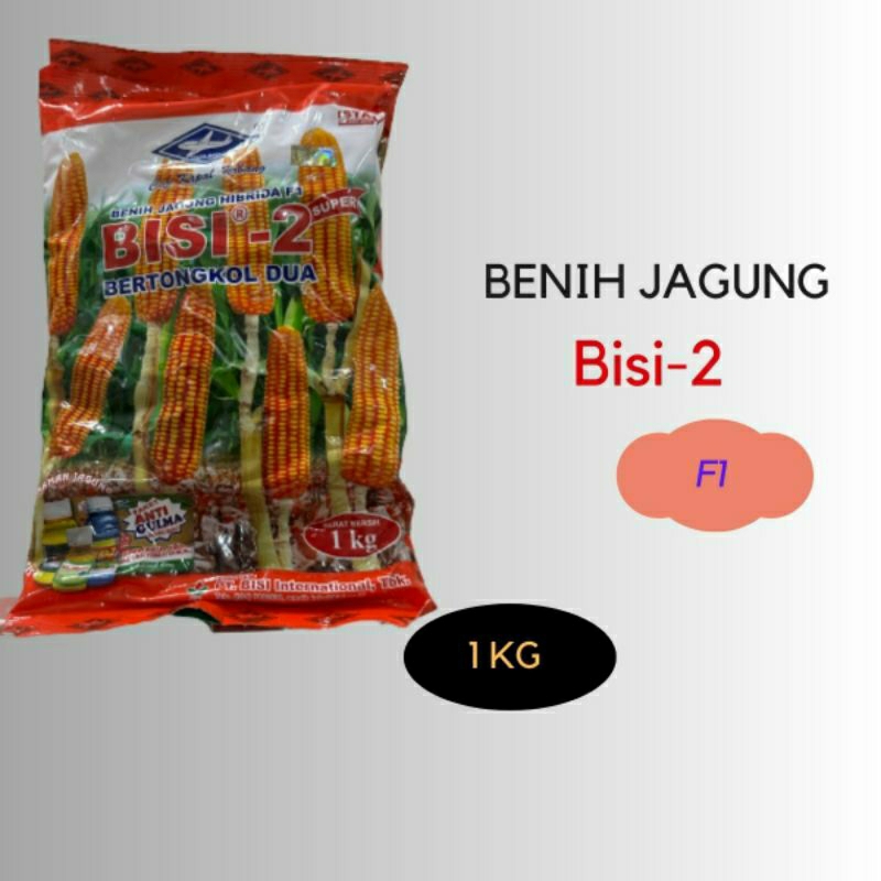 Benih Jagung Hibrida Jagung bisi 2 1 kg cap kapal terbang