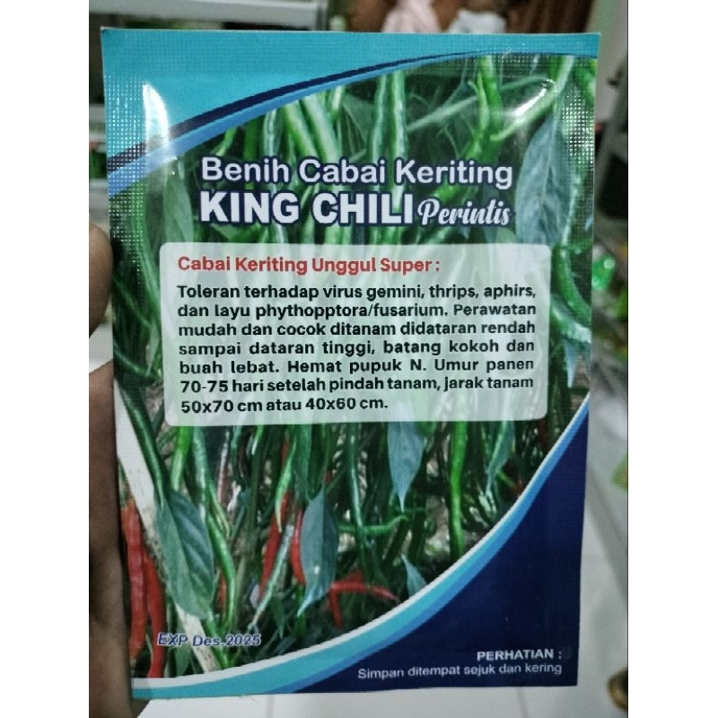 Cabe King Chili Perintis 10gr Tahan Virus Lokal Aceh