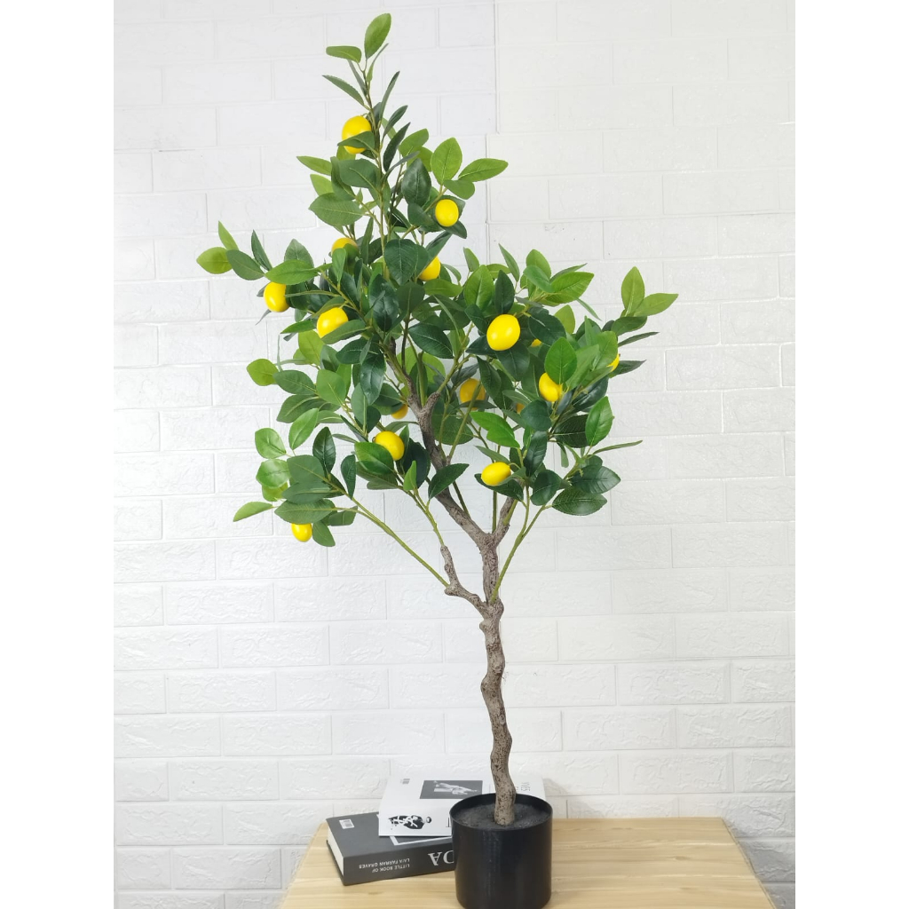 Azgalery / Pohon Buah Hias Artifical Lemon Tree Artifical Import Hiasan Pojok Rumah Aesthetic Hiasan Taman Fresh PBP171