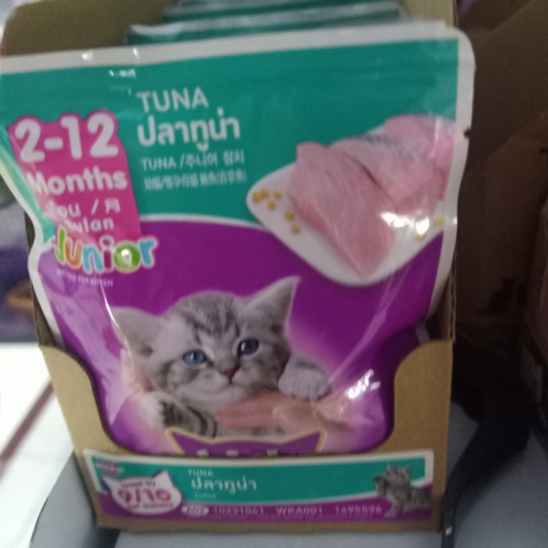 makanan basah kucing whiskas junior