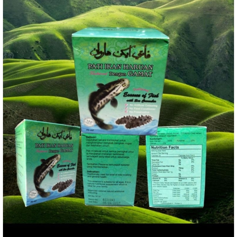 PATIH IKAN HARUAN