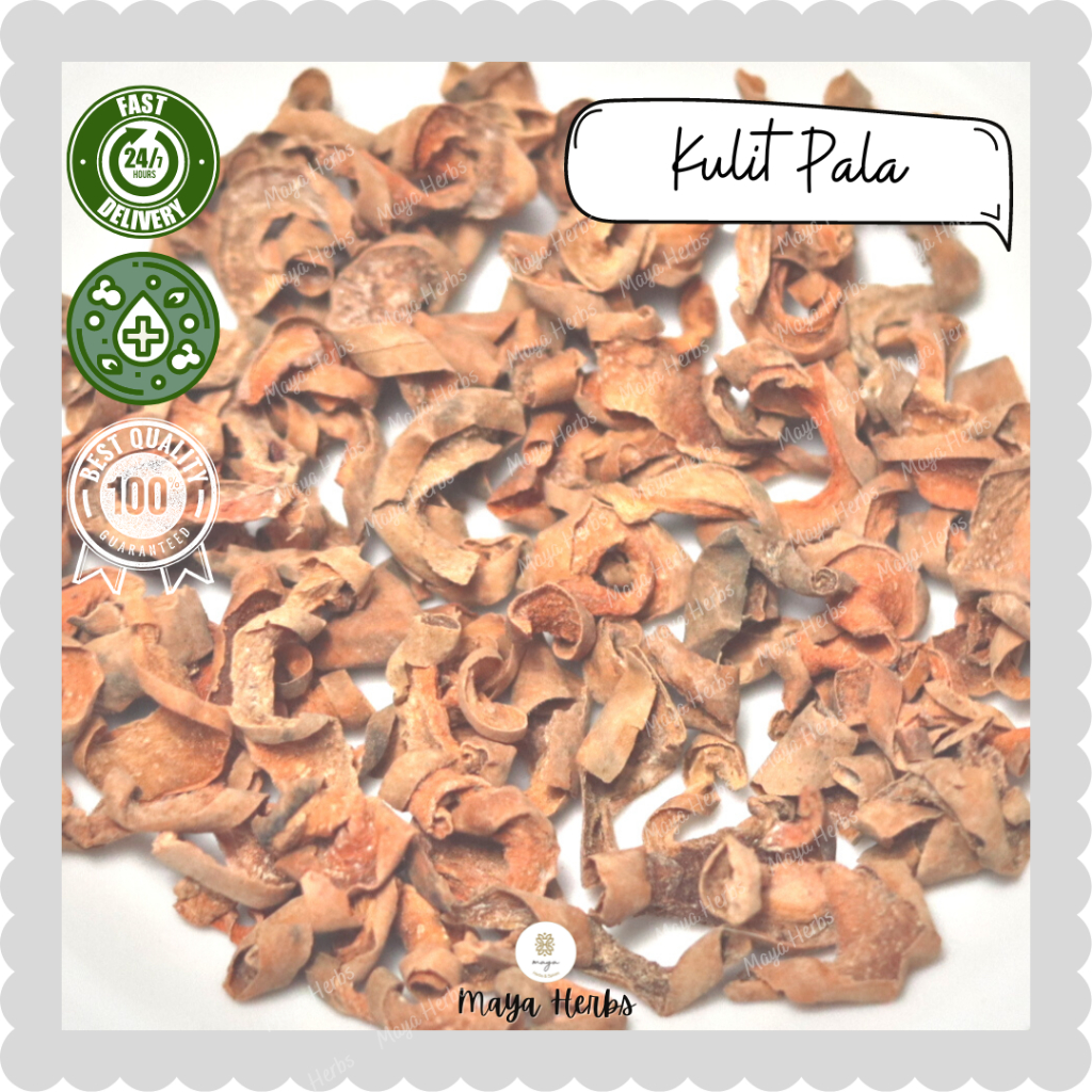 

Kulit Pala Kering 20 gram ( Myristica Fragrans )