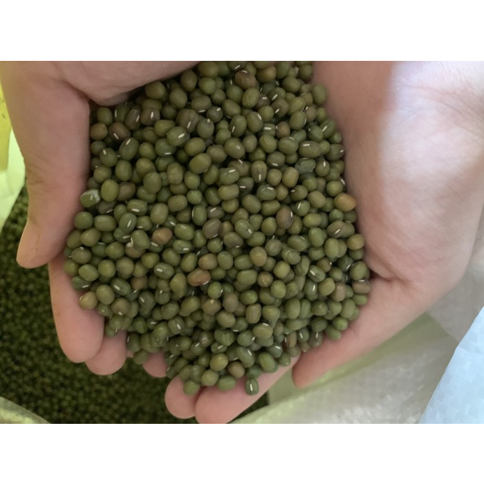 

KACANG HIJAU LARGE GREEN MUNG BEANS IMPORT AUSSIE REPACK