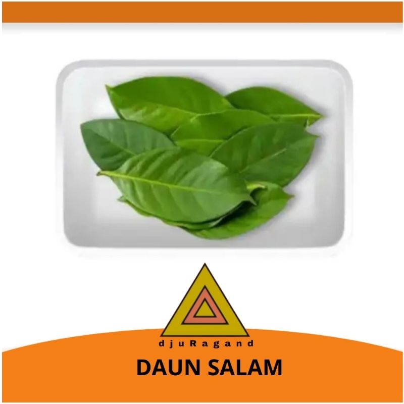 

Daun salam 100 gram