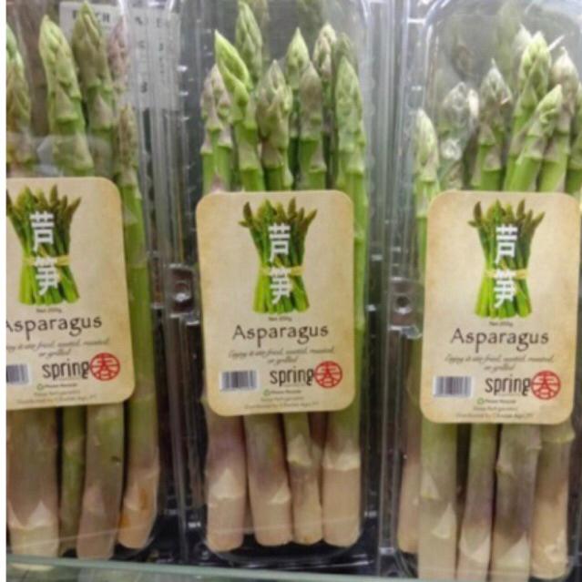 

Asparagus Spring Fresh | sayur asparagus spring per pack