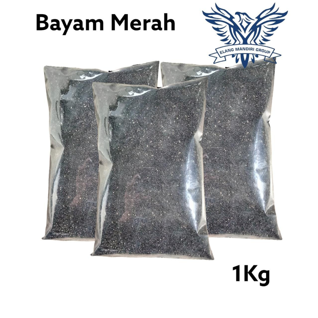 REPACK Benih BAYAM MERAH 1Kg Bibit Sayuran Berkualitas Unggul