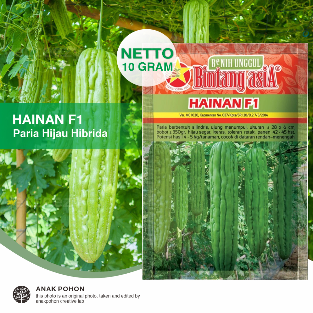 (1 PACK) Benih Pare HAINAN F1 Paria Hijau Hibrida Seeds - Bintang Asia - 10 GRAM