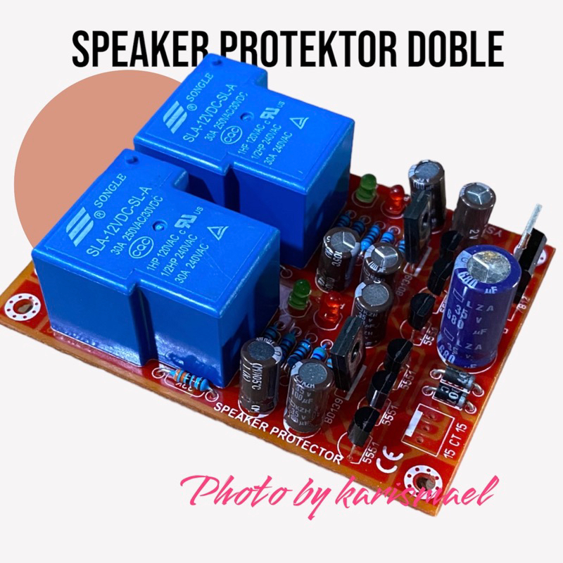 SPEAKER PROTEKTOR STEREO FIBER PROTECTOR SPEAKER