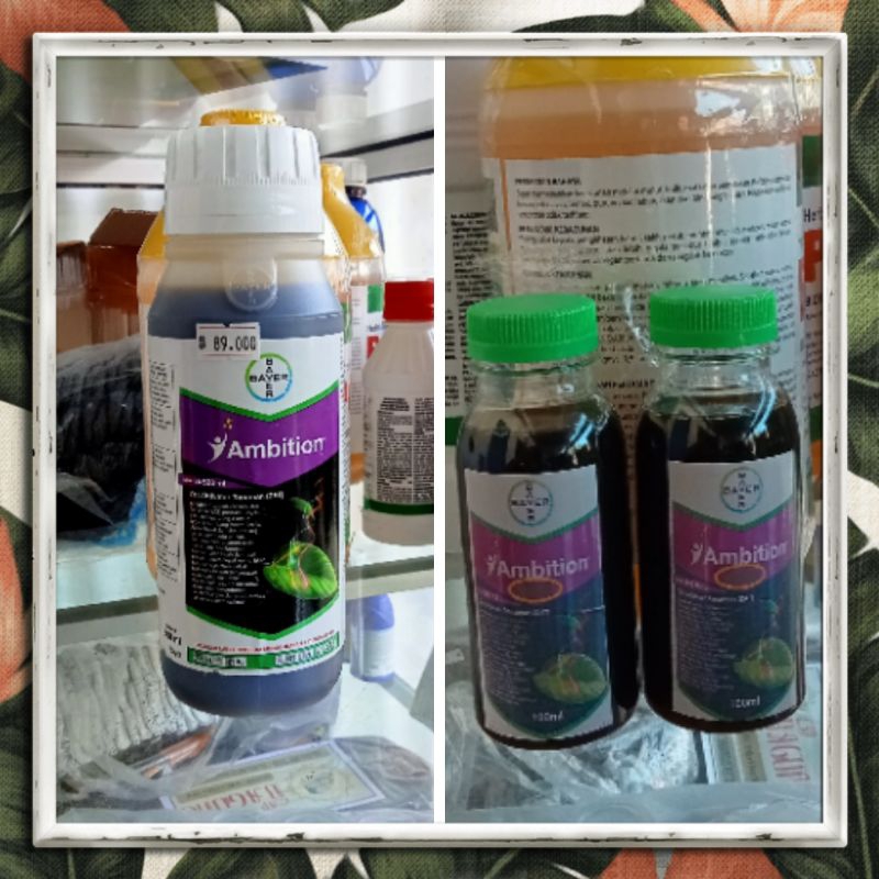 Zat Aktivator Ambition ecer 100ml