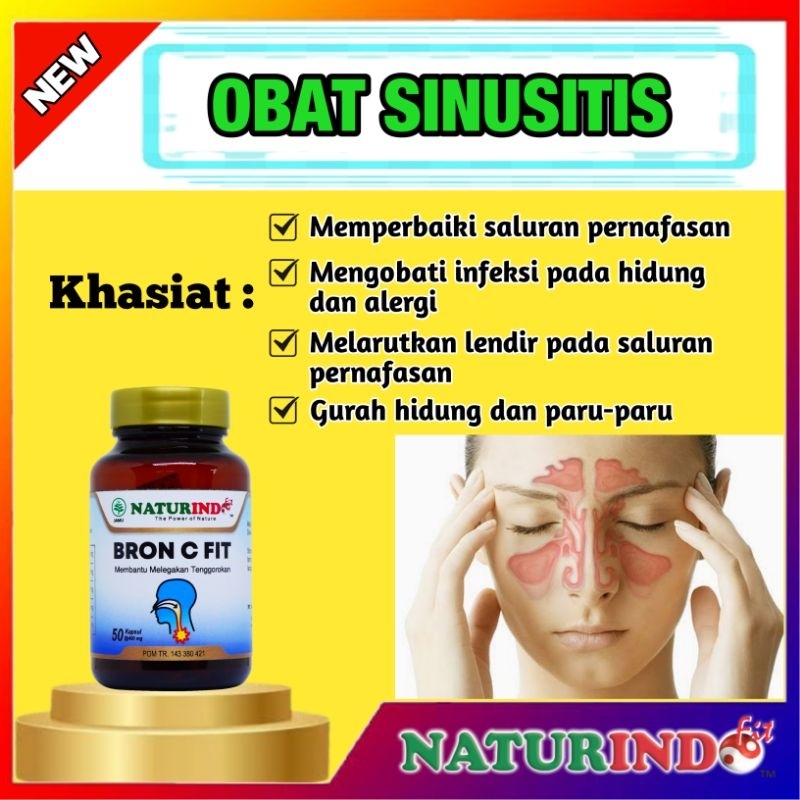 OBAT HERBAL SINUSITIS AKUT MENAHUN RADANG HIDUNG TERSUMBAT PILEK HERBAL PALING AMPUH NATURINDO BISA 