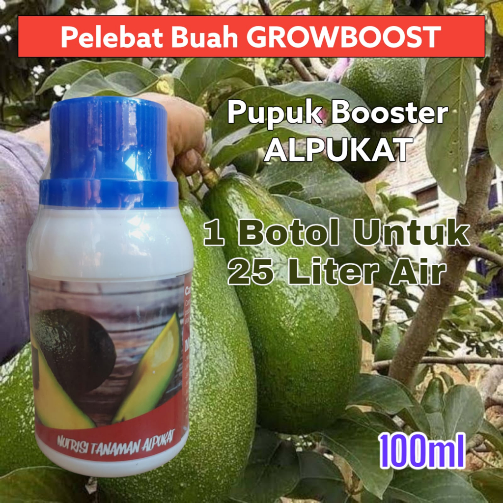 Pupuk Buah Alpukat Premium Organik GrowBoost Buah Alpukat 100ml