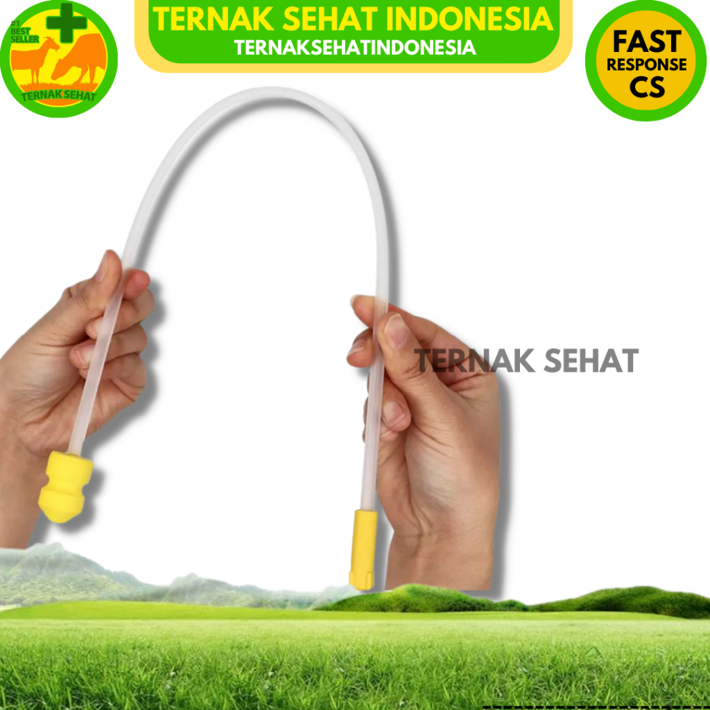 KATETER BABI FOAM - ALAT IB BABI - Katheter babi - Alat Inseminasi Buatan Babi Foam - Catheter Pig