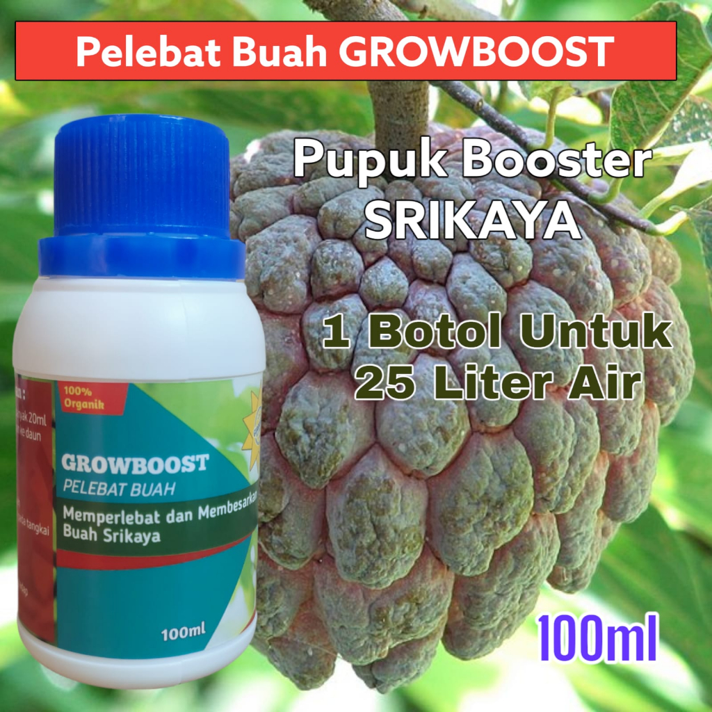 Pupuk Buah Srikaya Premium Organik GrowBoost Buah Srikaya 100ml