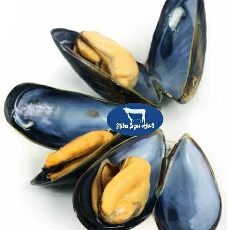 

Black Mussel / Kerang Hitam @1KG