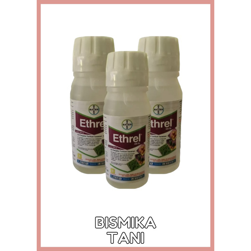 Ethrel 100ml ZPT Pematang Buah