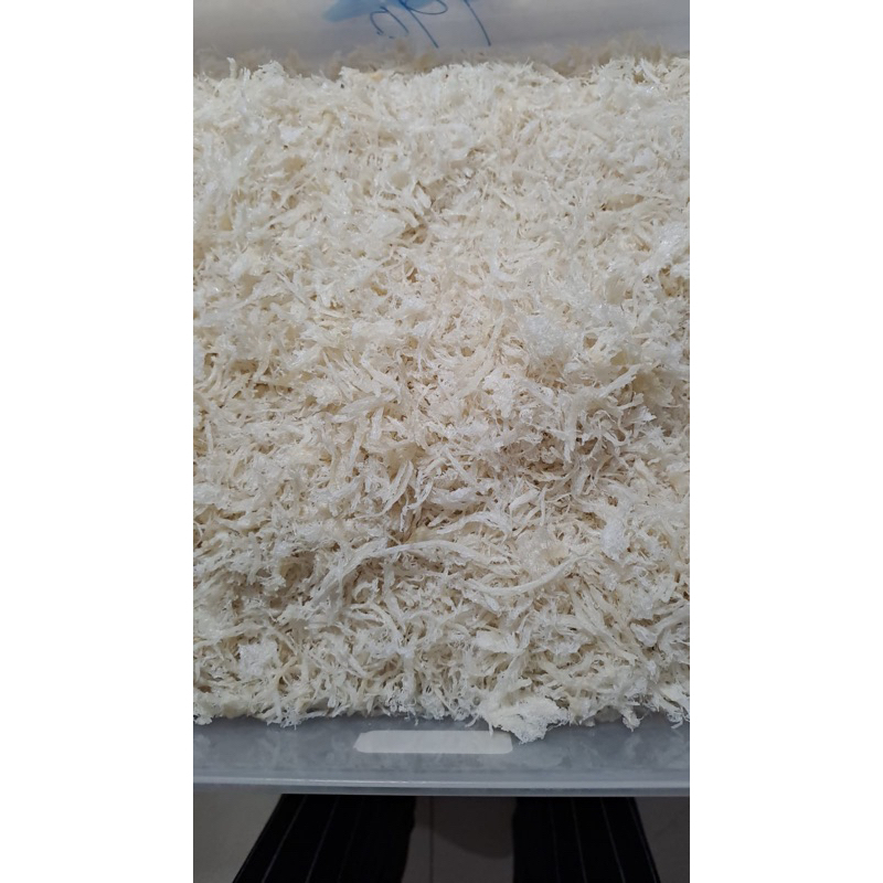 

Sarang Burung Walet Teri / Terian / Yenping patahan bersin pergram