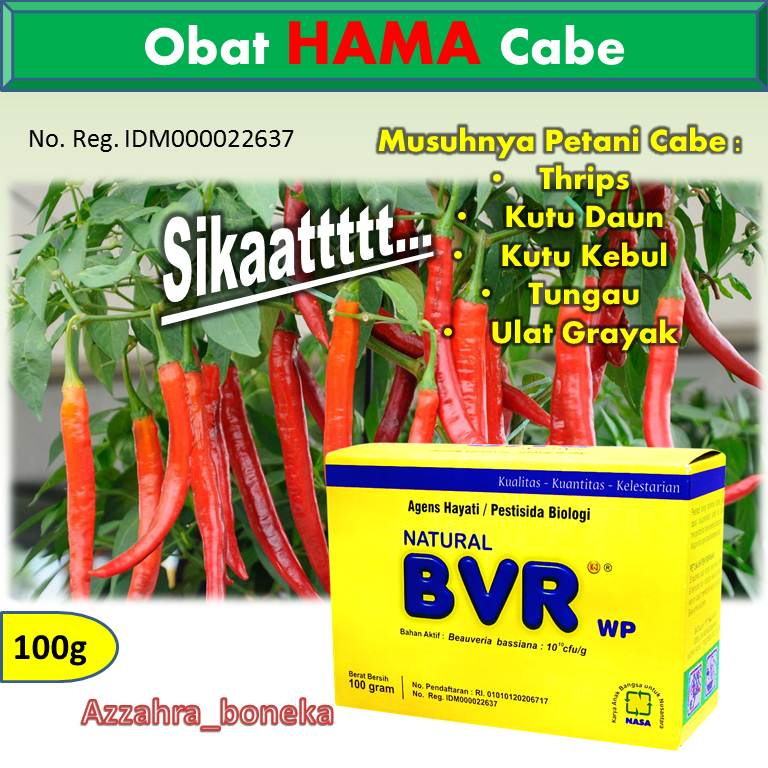 Obat Hama Cabe / Obat Patek Cabe / Pestisida Organik Untuk Tanaman Cabe / Obat Cabe Daun keriting