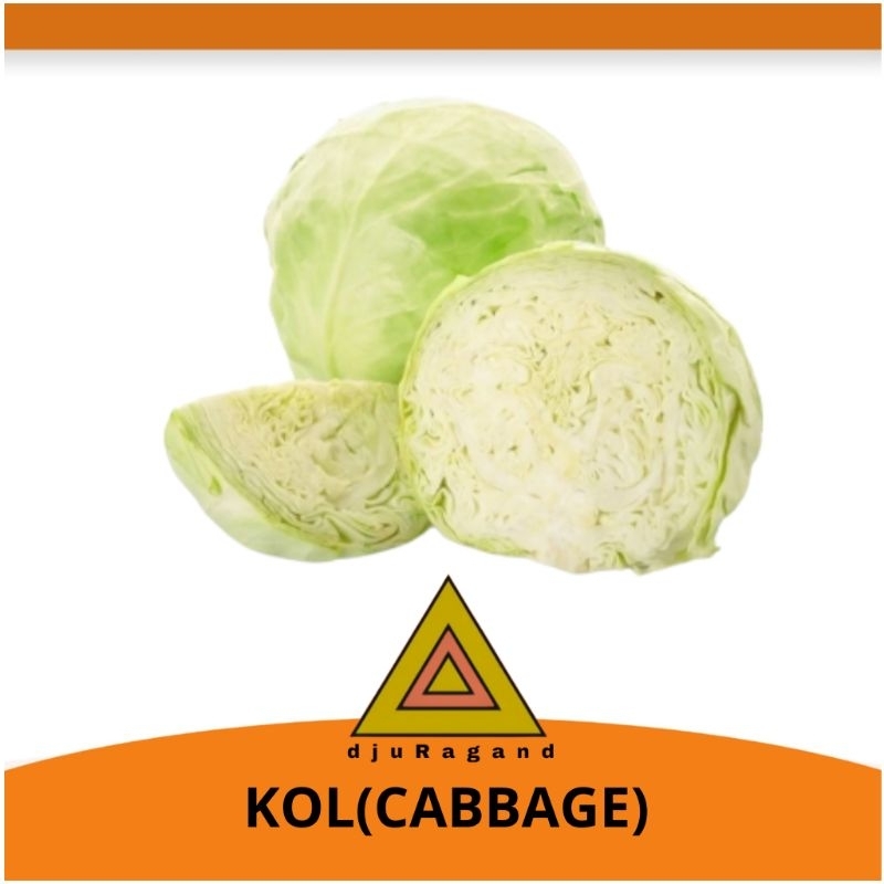 

KOL/ cabbage 1kg