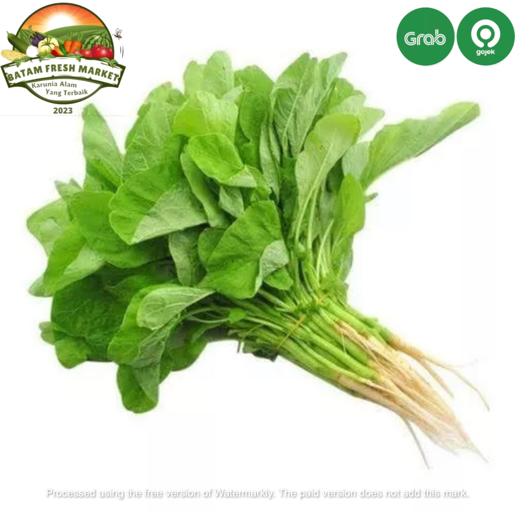 

Sayur Bayam Fresh