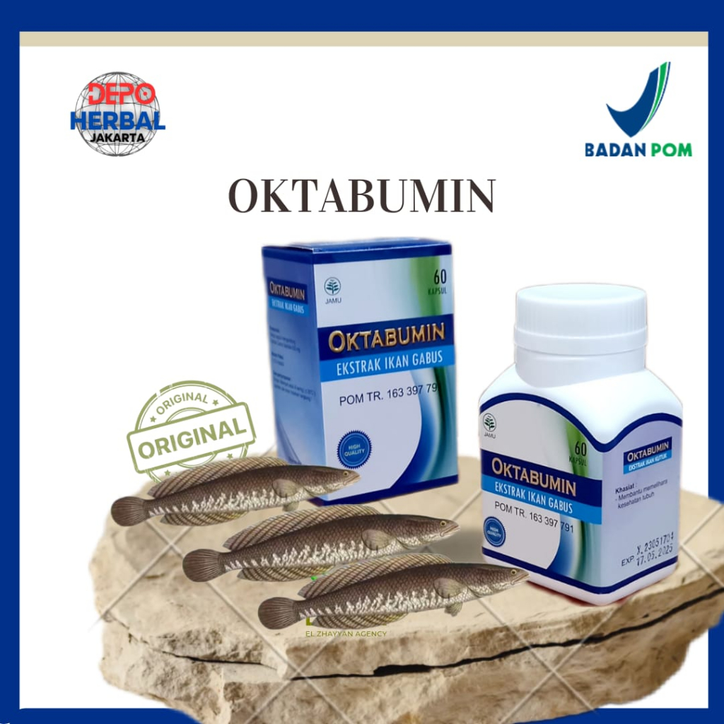 OKTABUMIN Kapsul Ekstrak Ikan Kutuk Gabus Bagus UNtuk Luka Pasca Operasi HERBAL 21