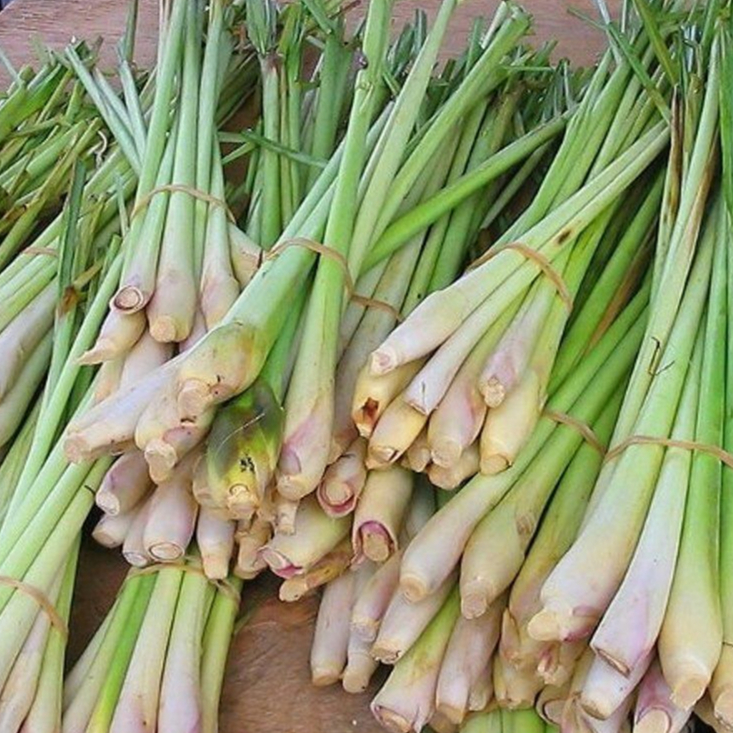 

Sereh