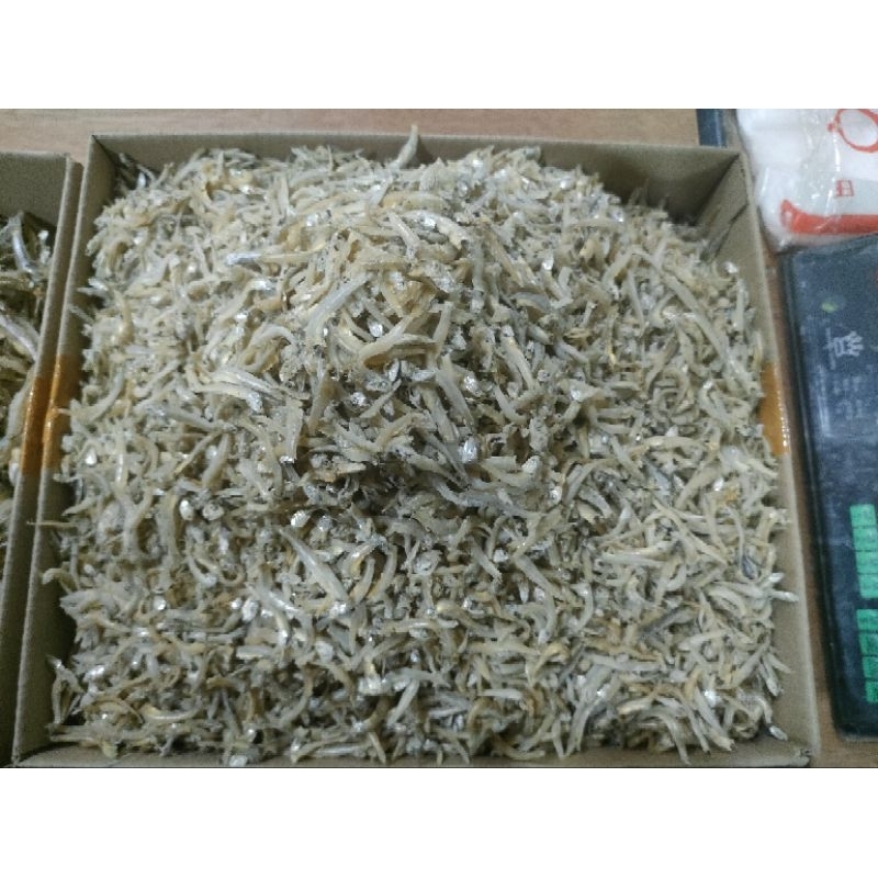 

Teri Lampung