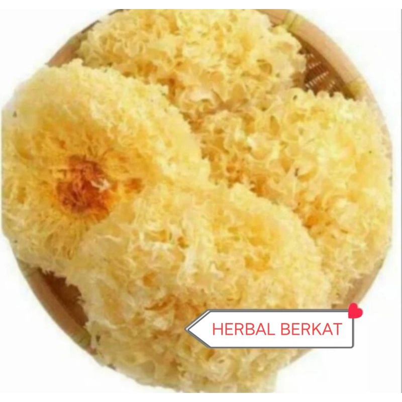 

Jamur Salju / Jamur putih / Snow White Fungus Kemasan 500gram