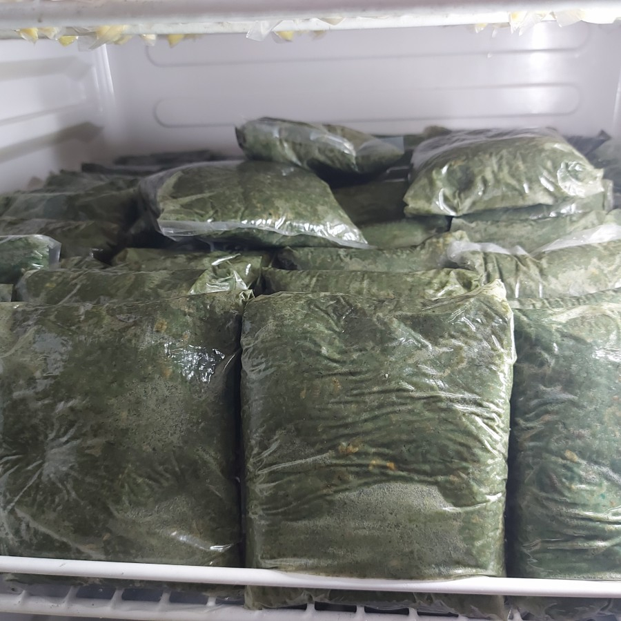 UMPAN LAPINDO / UMPAN JADI SIAP PAKAI UNTUK GALATAMA LELE