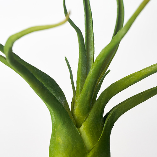 FEJKA Tanaman tiruan, set isi 3, air plant / tanaman air