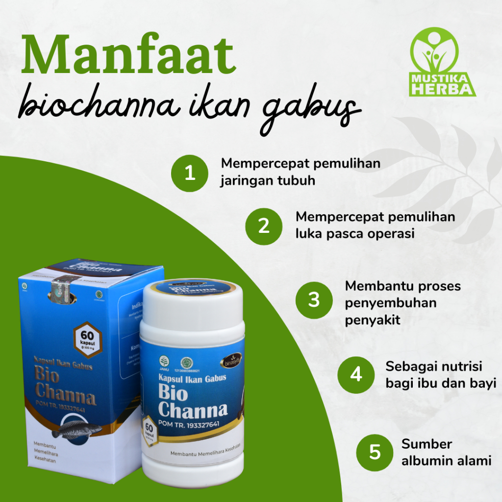 Bio Channa Kapsul Ekstrak Kutuk Ikan Gabus Herbal Pengering Luka Diabetes Obat Cina Pasca Operasi Ca