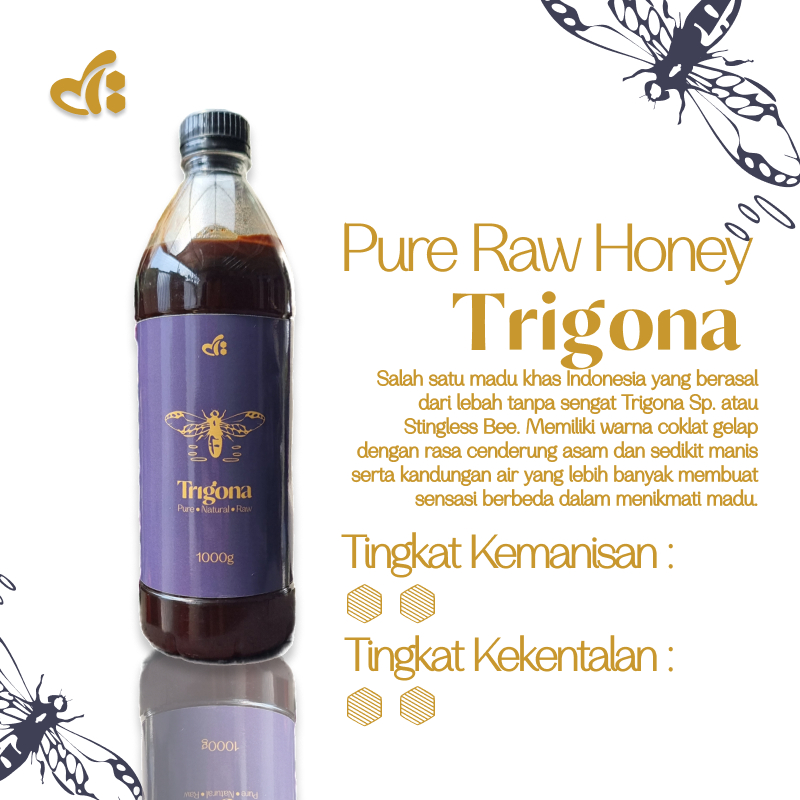 

Raw Honey by dBee - TRIGONA 1000gr - Madu Mentah 100% Murni Klanceng Asli - Stingless Bee Honey Lebah Tanpa Sengat Premium Grade A