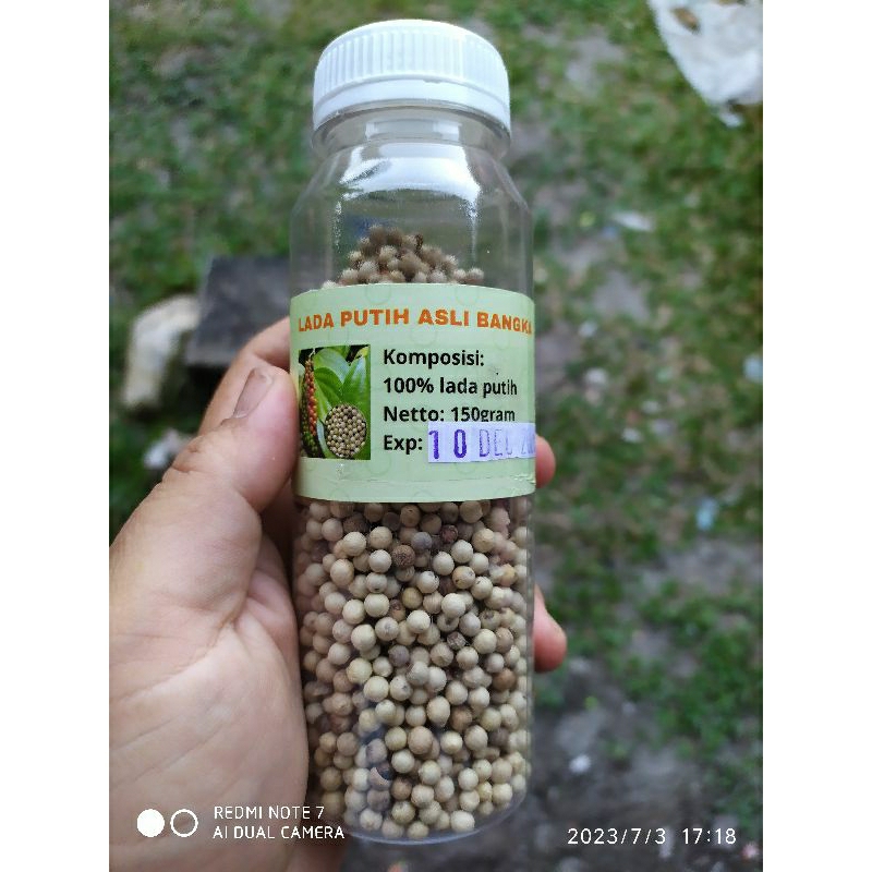 

Lada Putih Butir Asli Bangka Netto 100gram Murah Grosir oleh oleh makanan khas bangka toko snack jojo