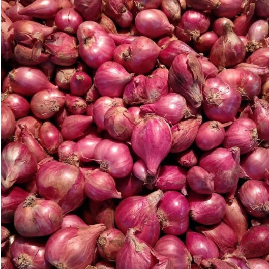 

Bawang Merah Murah Bawang Merah Segar 100 Gram