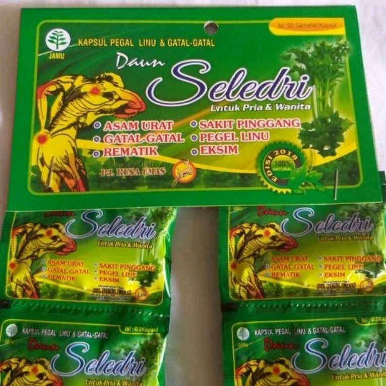 DAUN SELEDRI kapsul original asam urat- kolesterol gatal exim KapsulDaunSeledri selederi