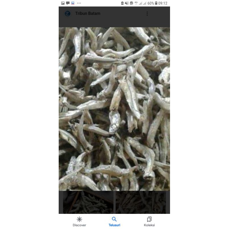 

ikan teri 100g