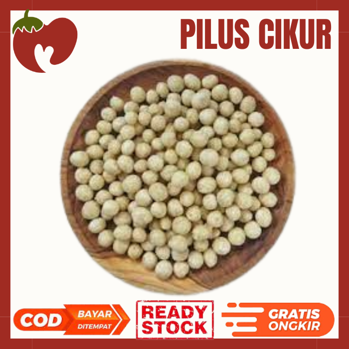 

PILUS CIKUR TOPING BASO ACI CIKUR BASO ACI