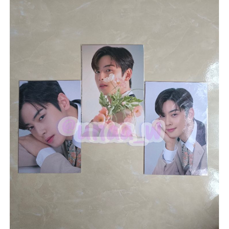 Postcard Cha Eunwoo ASTRO 1st Japan Fanmeeting PC Photocard