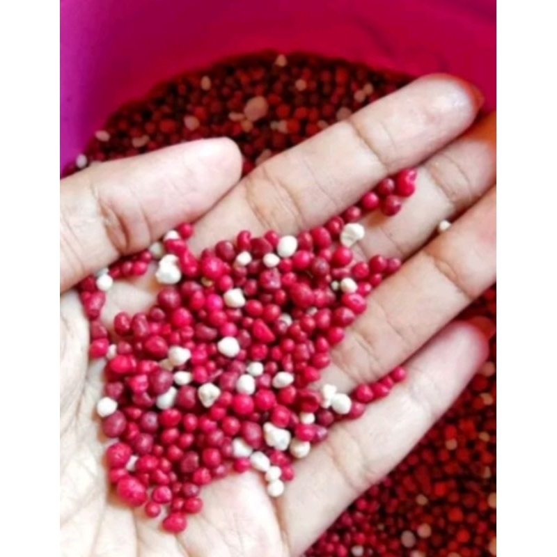 Pupuk merah Osmocote 19-10-13 +25 MgO + TE  250gr
