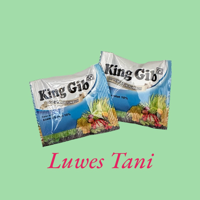 King gib zat pengatur tumbuh kinggib