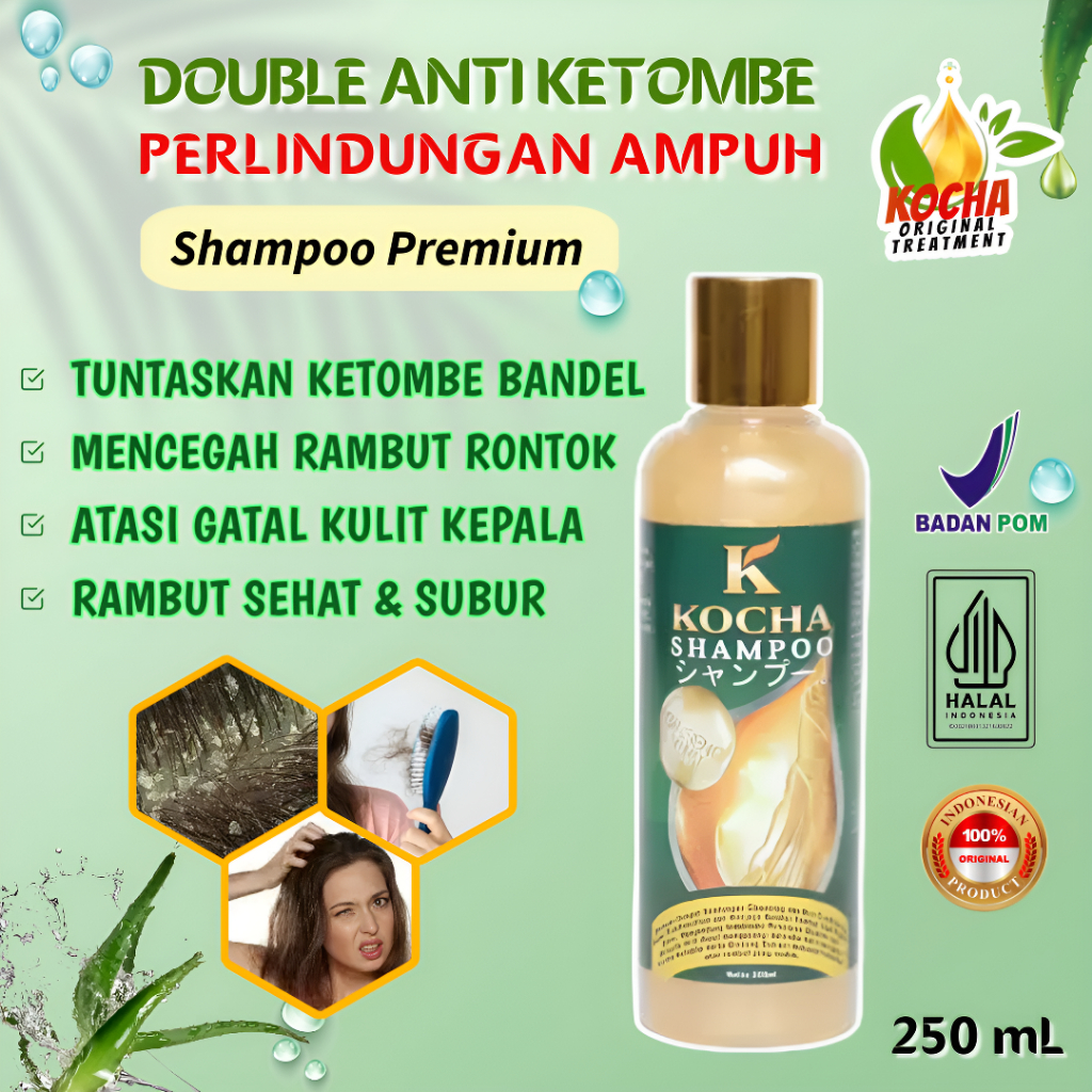 Kocha Obat Shampoo Anti Ketombe Basah Dan Rambut Rontok Parah Paling Ampuh Sampo Ginseng Shampo Anti