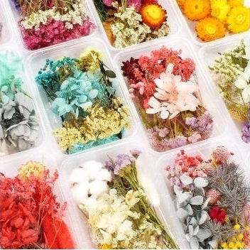 PAKET BUNGA KERING HAMPERS DIY / BUNGA KERING HIASAN MAHAR KERAJINAN PERBOX