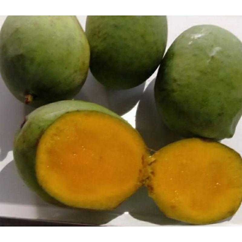 

mangga kuweni grand A /mangga kweni manis fresh