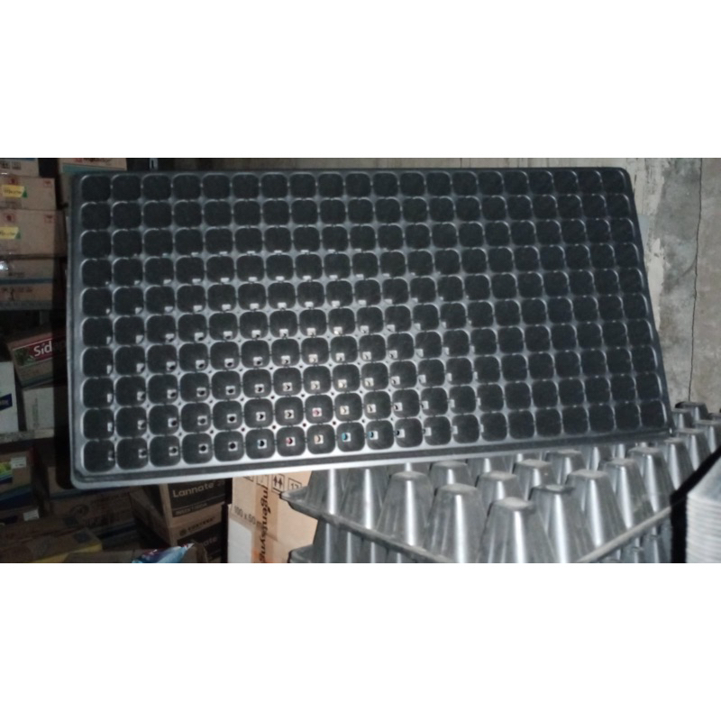 Tray Semai Lubang 200