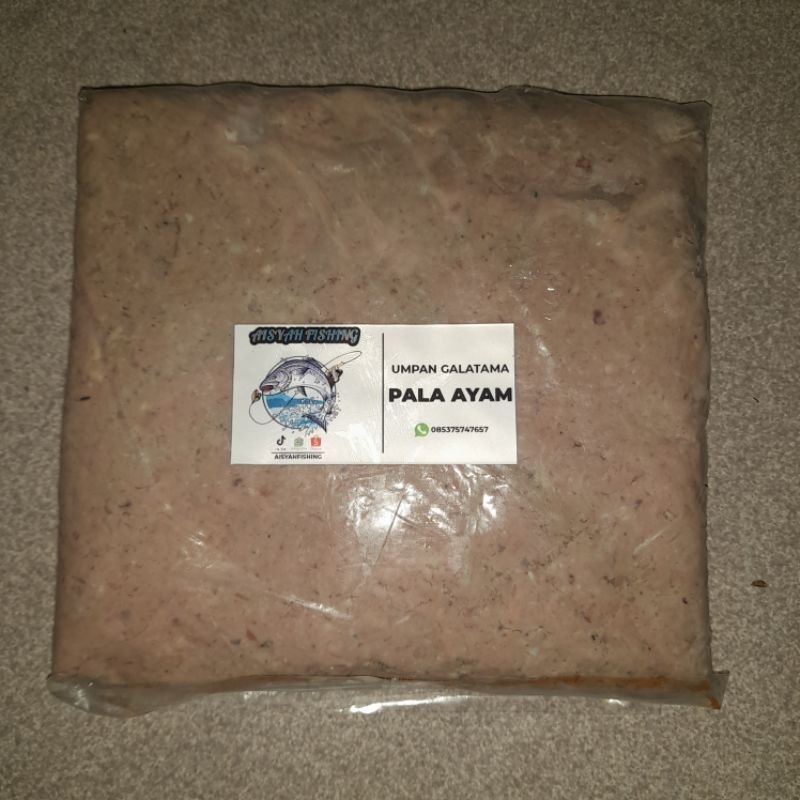 umpan galatama lele kepala ayam