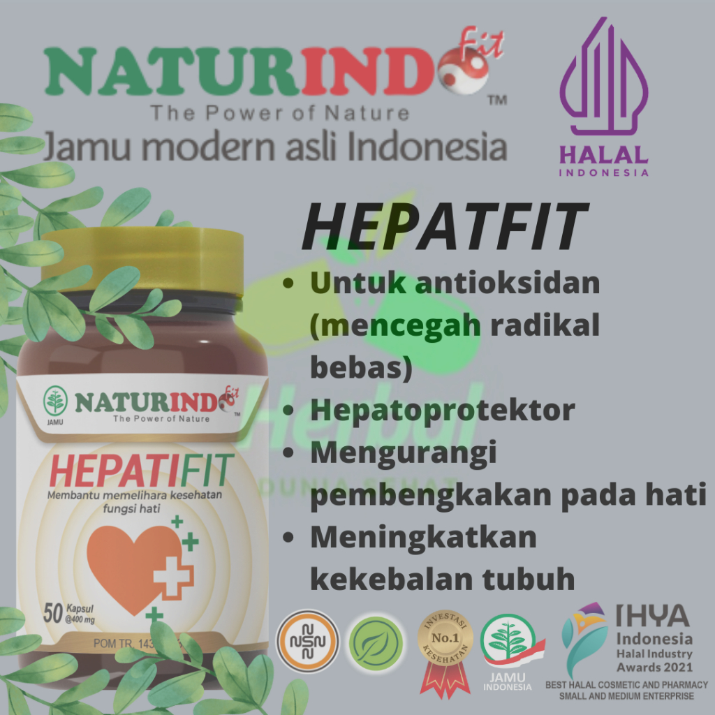 Obat Herbal Liver Batu Empedu Gatal Alergi Hepatitis Toxic Naturindo - HEPATIFIT