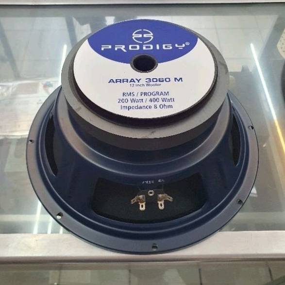 speaker ACR prodigy 12 inch array 3060 M