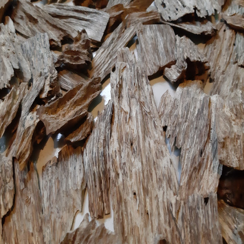 

HERBAL KAYU GAHURU TERBAIK-100 GRAM