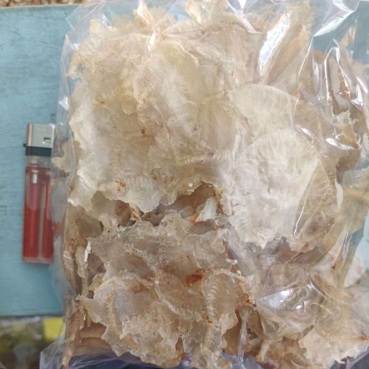 

hupio hu pio ikan duri 200gram / hipio lampung perut sing.a / bedukang bagan sinaboi