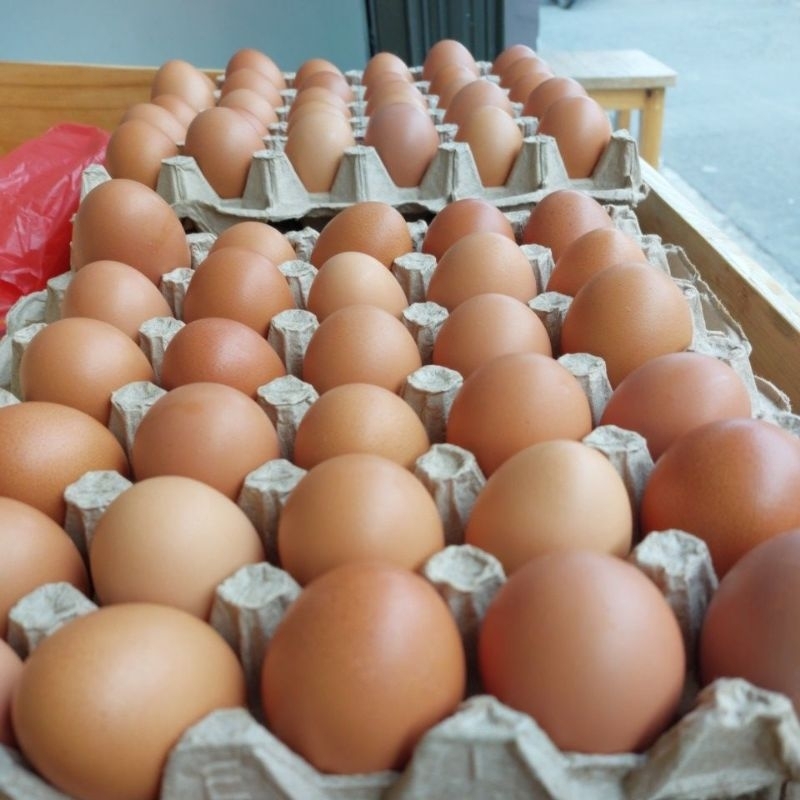 

Telur Ayam negeri 1 kg fresh dan berkualitas