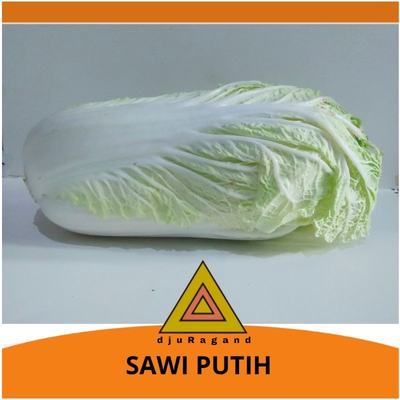 

Sawi putih segar